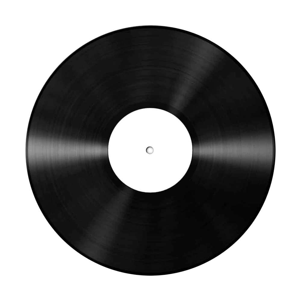 Vinyl disc